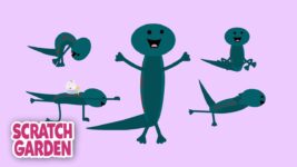 Salamander Yoga – Now with Wings! | 5-minute Yoga Break | Scratch Garden
