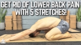 5 Essential Lower Back Stretches to Live Back Pain Free | Basic Yoga Poses for Men Tutorial Series